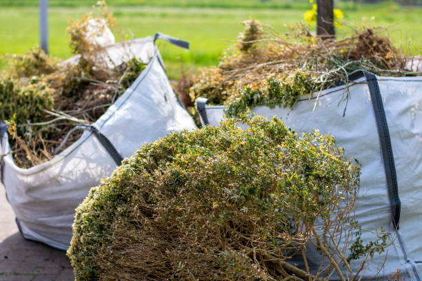 Best Shed Removal  in Centerville, IN